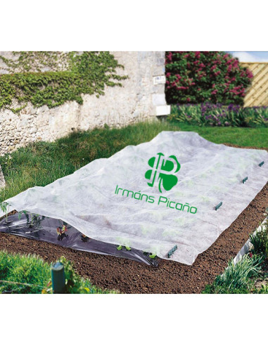 Protector para Plantas 1,5 x 10 m | Irmáns Picaño