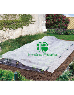 Protector para Plantas 2,4 x 20 m | Irmáns Picaño 2
