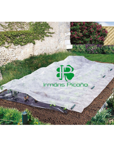 Protector para Plantas 2,4 x 20 m | Irmáns Picaño