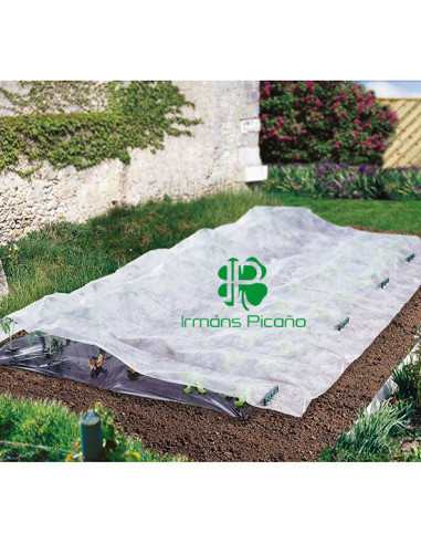 Protector para Plantas 3,2 x 10 m | Irmáns Picaño