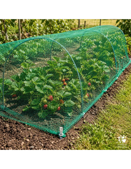 Malla Antipájaros Orework 2 x 10 m | Irmáns Picaño
