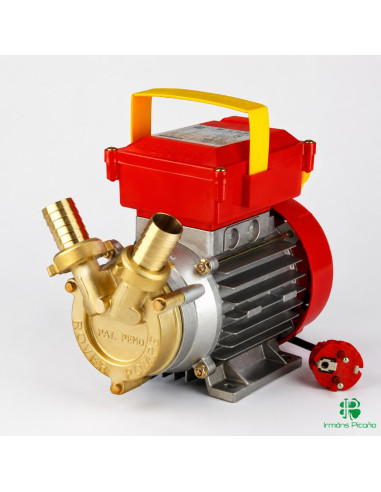Electrobomba Rover 20 HP | Irmáns Picaño