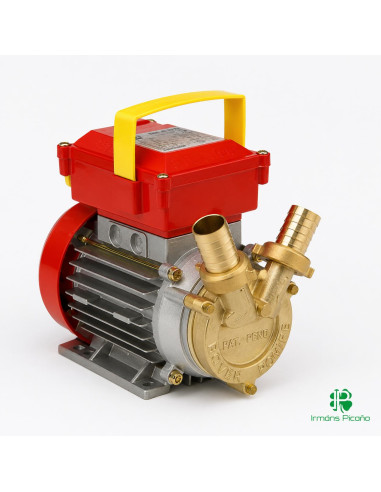Electrobomba Rover 25 HP | Irmáns Picaño