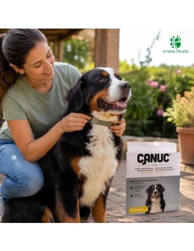 Collar Canuc Perro Grande 2 Unidades | Irmáns Picaño