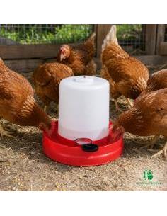 Bebedero para Pollos 8 Litros | Irmáns Picaño 2