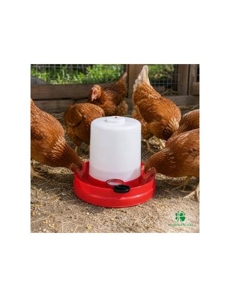 Bebedero para Pollos 8 Litros | Irmáns Picaño