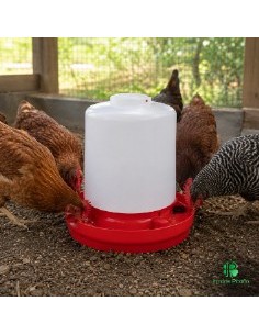 Bebedero para Pollos 12 Litros | Irmáns Picaño 2