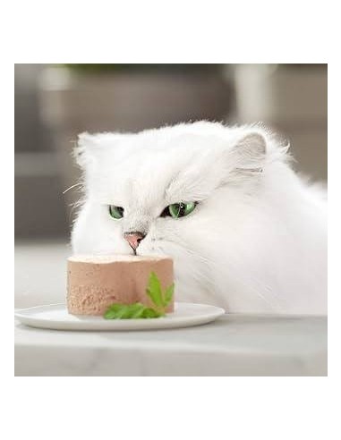 Gourmet Gold Mousse Pollo | Irmáns Picaño