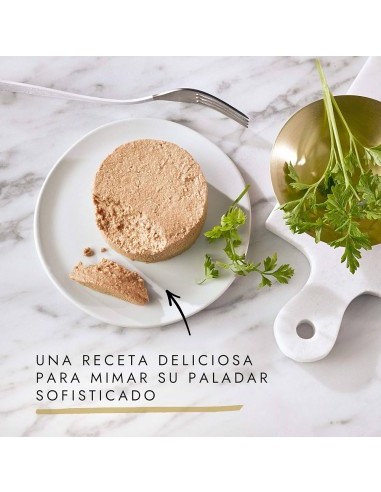 Gourmet Gold Mousse Salmon | Irmáns Picaño