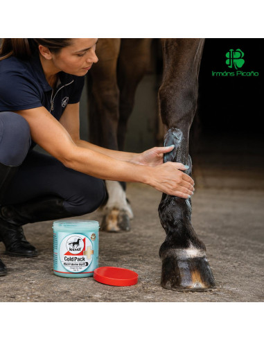Leovet Cold Pack Gel Tendones 500 ml | Irmáns Picaño