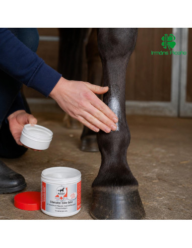 Leovet First Aid con Plata 150 ml | Irmáns Picaño