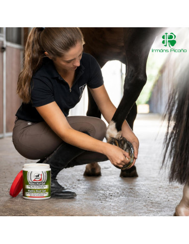 Pomada Leovet Hoof Lab 750 ml | Irmáns Picaño