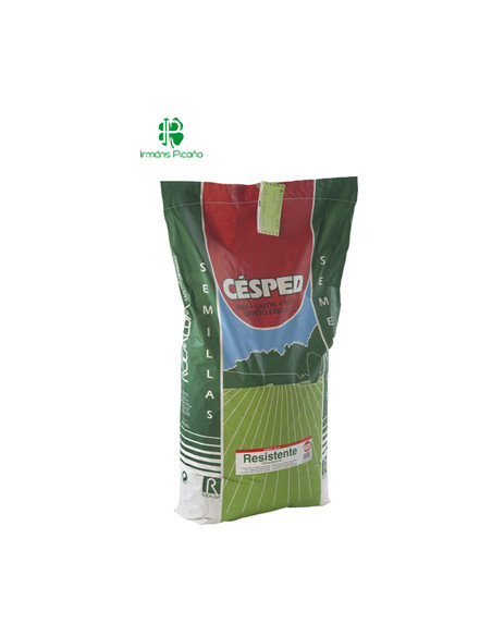 Césped Resistente 1 Kg | Irmáns Picaño