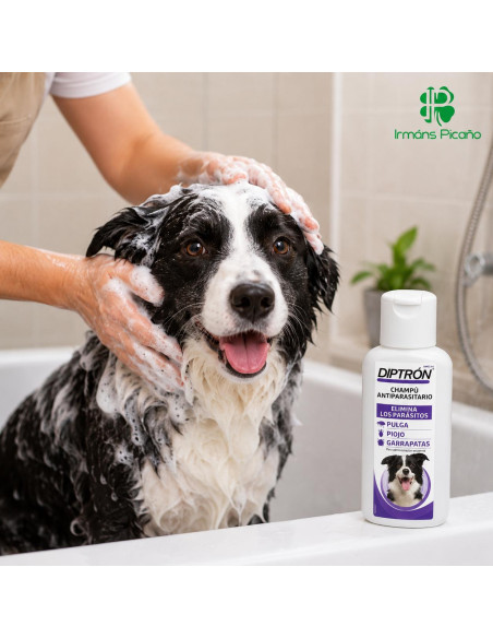 Diptron Champú ATP 500 ml | Irmáns Picaño
