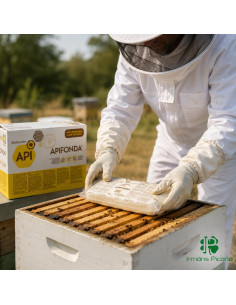 Alimento de Invierno para Abejas 1 Kg | Irmáns Picaño 2