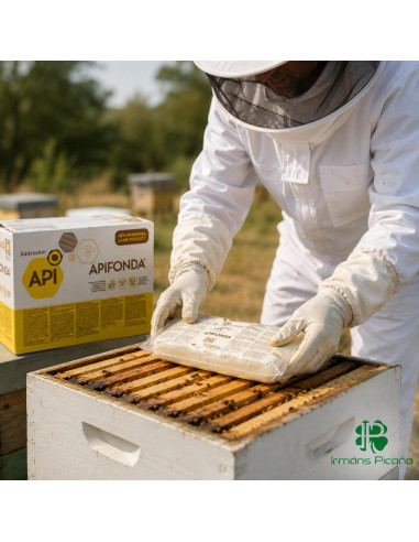 Alimento de Invierno para Abejas 1 Kg | Irmáns Picaño