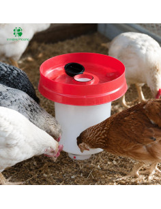 Bebedero para Pollos 12 Litros | Irmáns Picaño 2
