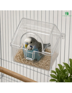 Comedero para Pájaros y Canarios | Irmáns Picaño 2
