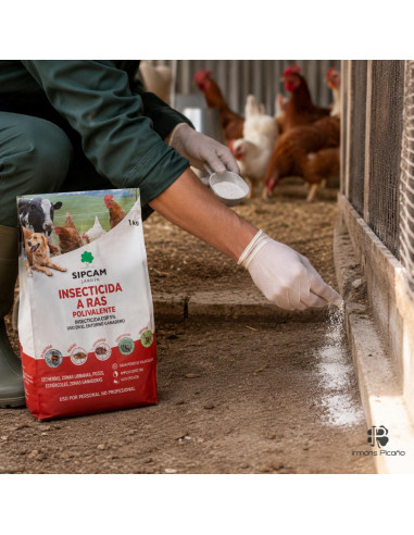 Insecticida A Ras 1 Kg | Irmáns Picaño